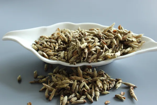 Лаошу Ябао «Почки пуэра»